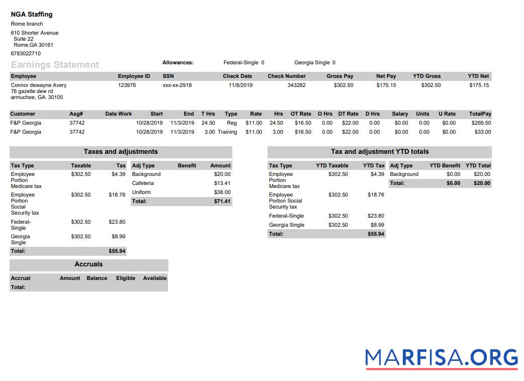 Printable NGA Staffing pay stub real example